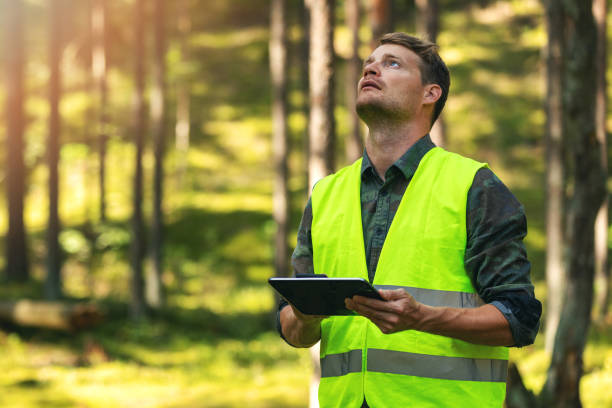 Environmental Audits