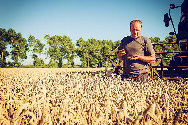 quality control in agriculture