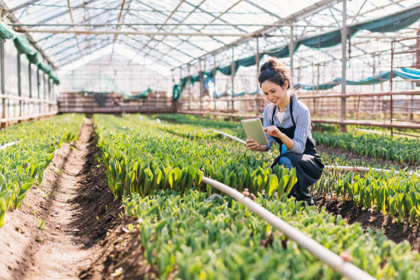 quality control in agriculture